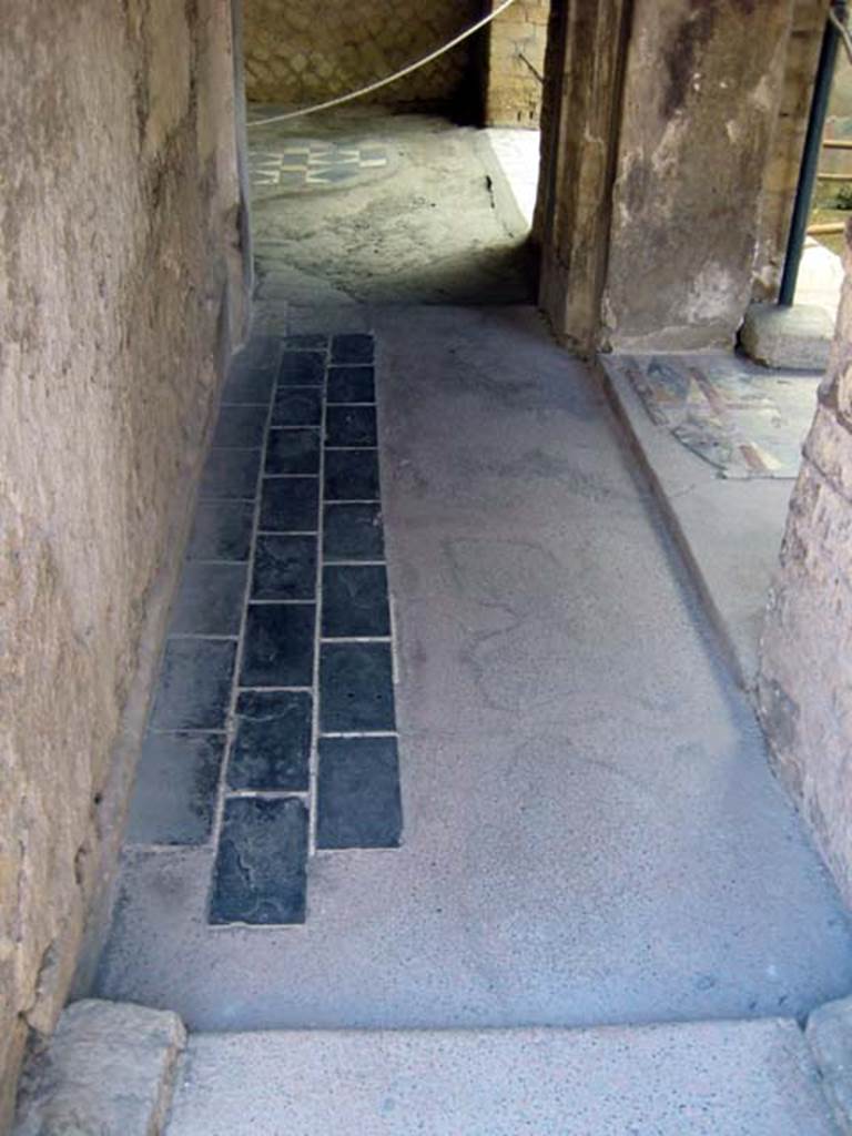 III.3 Herculaneum, June 2011. Looking east along corridor leading to triclinium, and small light-yard, on right.
Photo courtesy of Sera Baker.